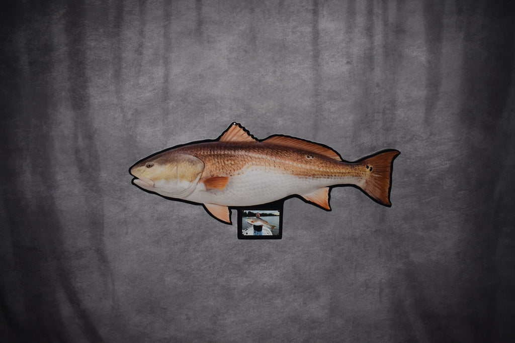 Custom Fish Replica