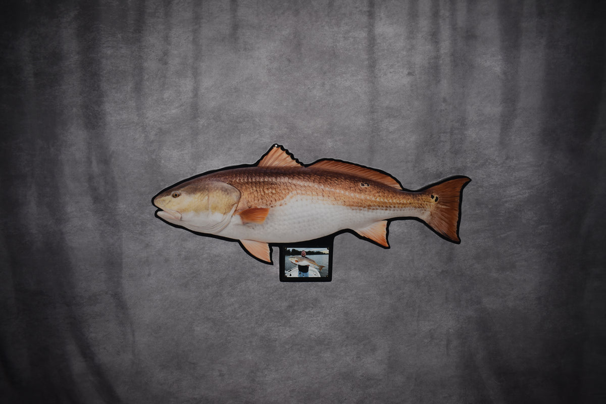 Custom Fish Replica