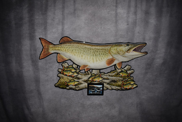 A decorative wall-mounted fish sculpture featuring a large northern pike above smaller fish on a driftwood-style base, displayed against a dark gray textured backdrop.