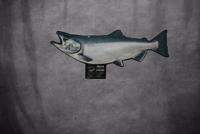 A taxidermy-style fish wall mount, shaped like a salmon or trout with an open mouth, mounted on a small plaque against a textured gray backdrop.