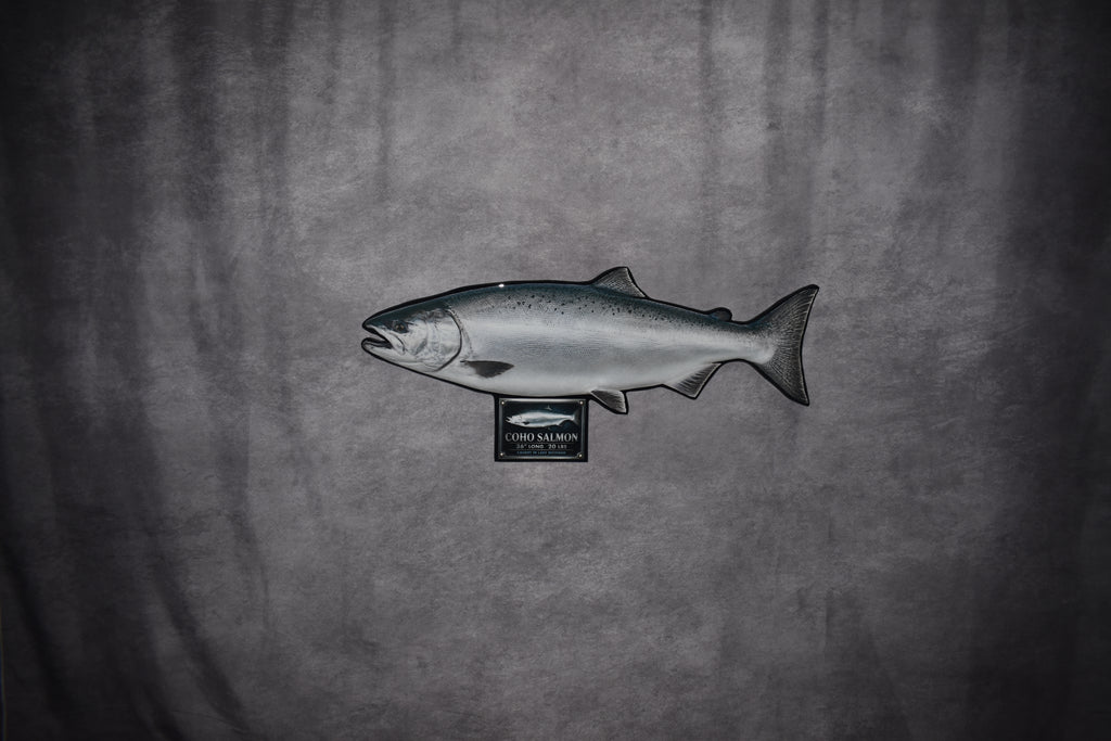 Custom Fish Replica