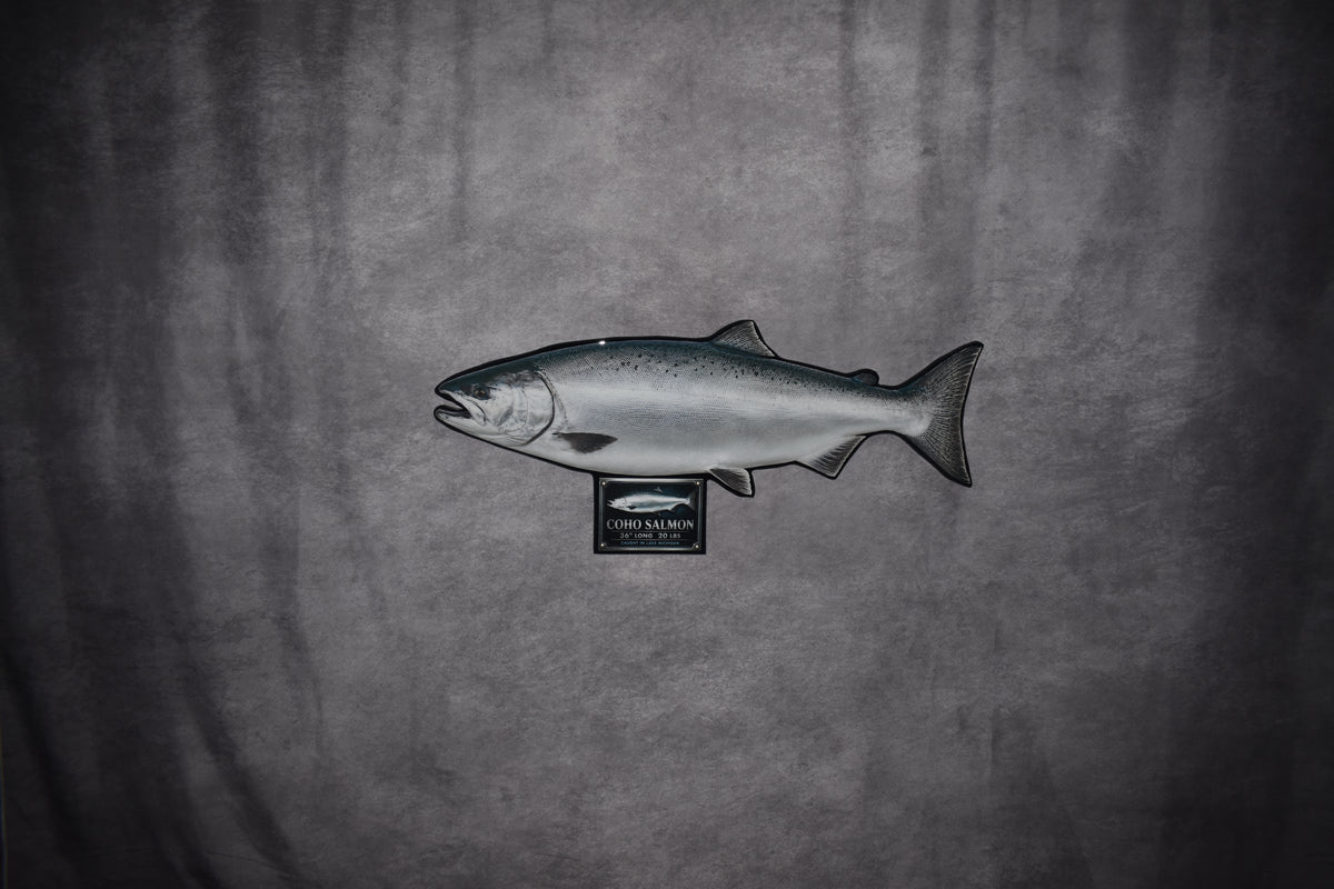 Custom Fish Replica