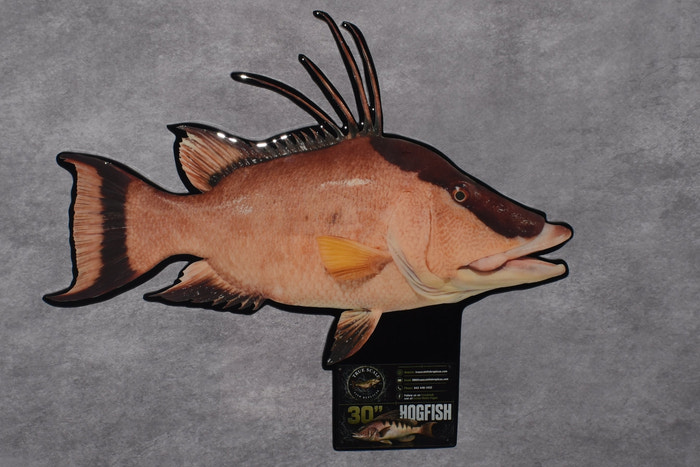 A decorative wall-mounted cutout or plaque shaped like a fish, shown against a dark gray textured backdrop. The fish has a pinkish-orange body with dark brown to black striping and fin details, and a small black hanging tag is attached below.
