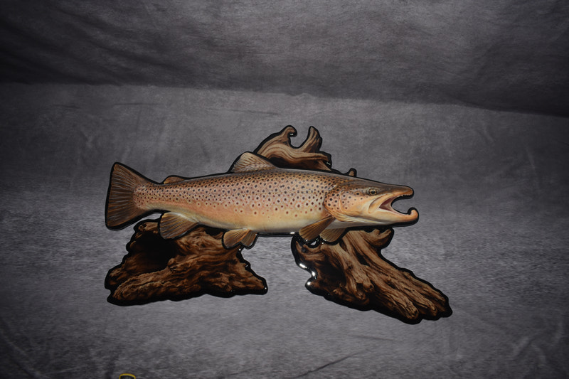 Fish Replica with Environment Background